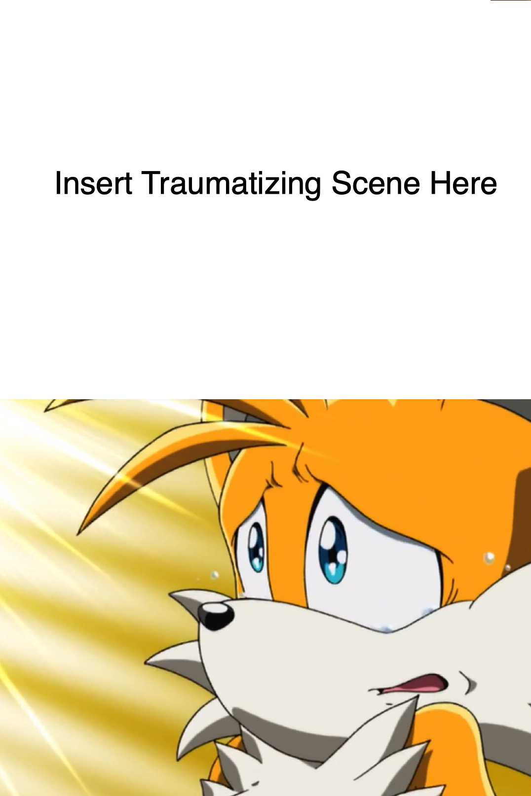 Tails Scared This Scene Traumatizes Tails Blank Meme by JapaneseAnimeBeetleX on ...