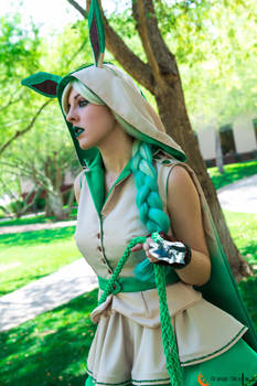 Leafeon The Verdant Pokemon 