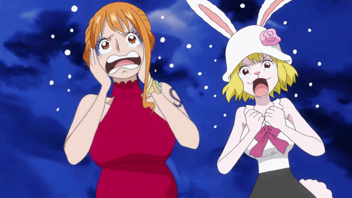 Nami and Carrot - One Piece episode 998 by Berg-anime on DeviantArt