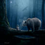 Lost in the magic forest