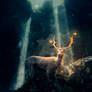 The glowing deer