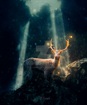 The glowing deer