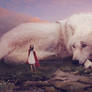 My faithful white wolf