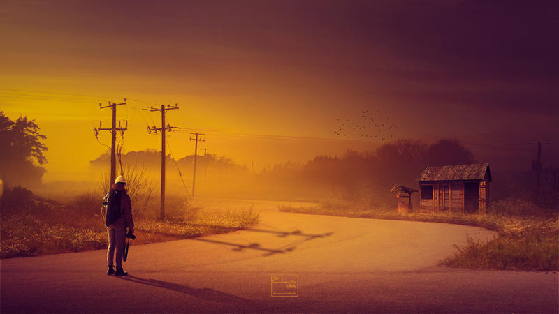 Homeland