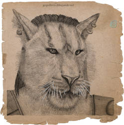 Elder Scrolls - Oblivion - Khajiit Portrait