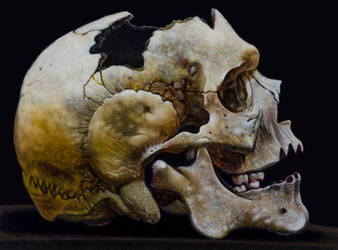 New Human skull oil painting