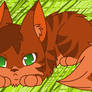 Firestar kitten