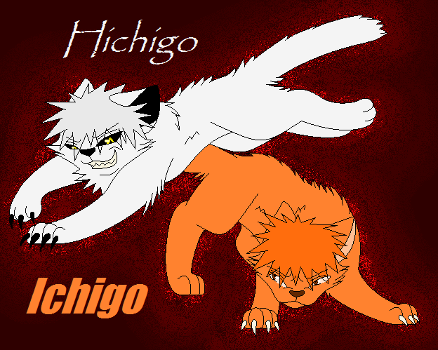 Ichigo vs. Hichigo