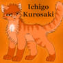 Cat Ichigo Kurosaki