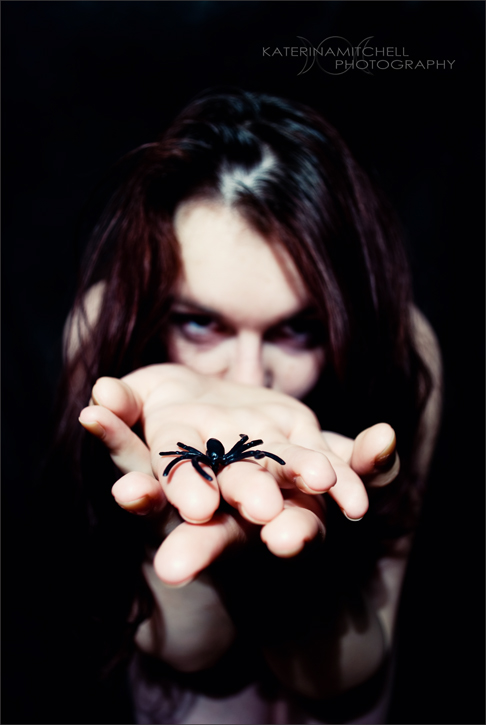 The Spider