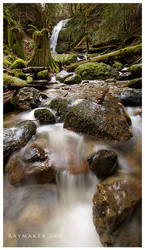 Coal Creek Falls