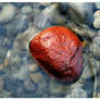 Red River Rock