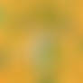 Bound by The Pumpkin Patch