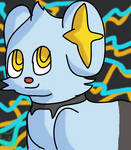 Shinx