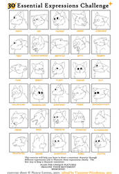 Expression challenge (UNFINISHED)