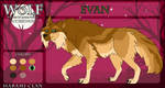WoLF || Evan || T1 Chaser
