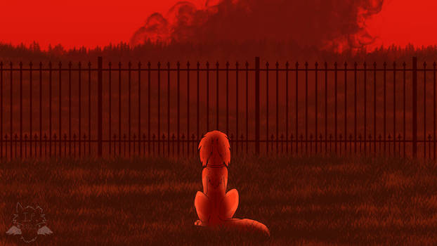 CAN: Red Skies