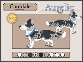 Canidale || Aurelio || Herding Dog || NPC