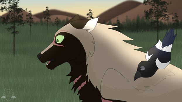 WoLF: Concerning Find