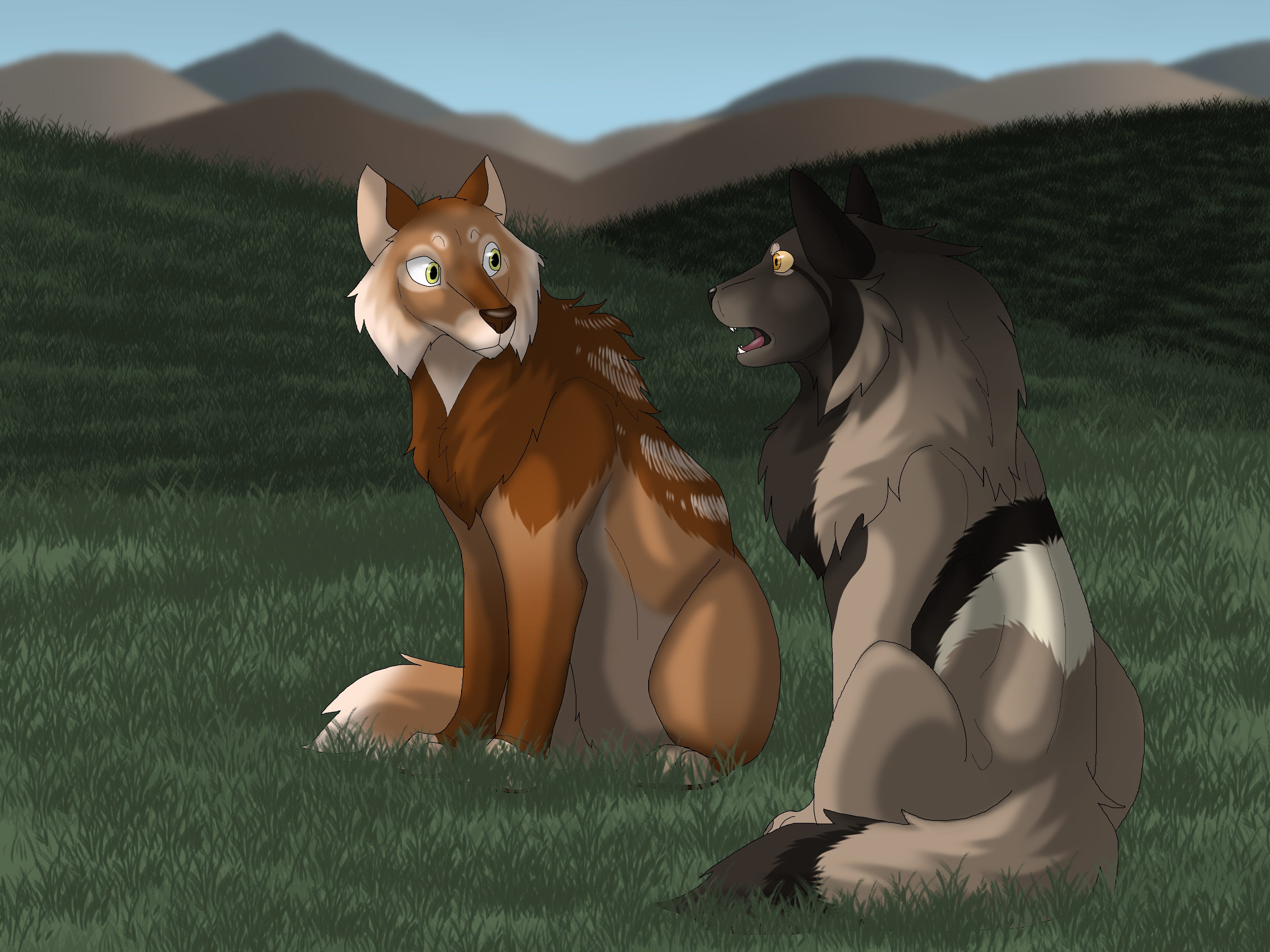 WoLF: Discussing the Results