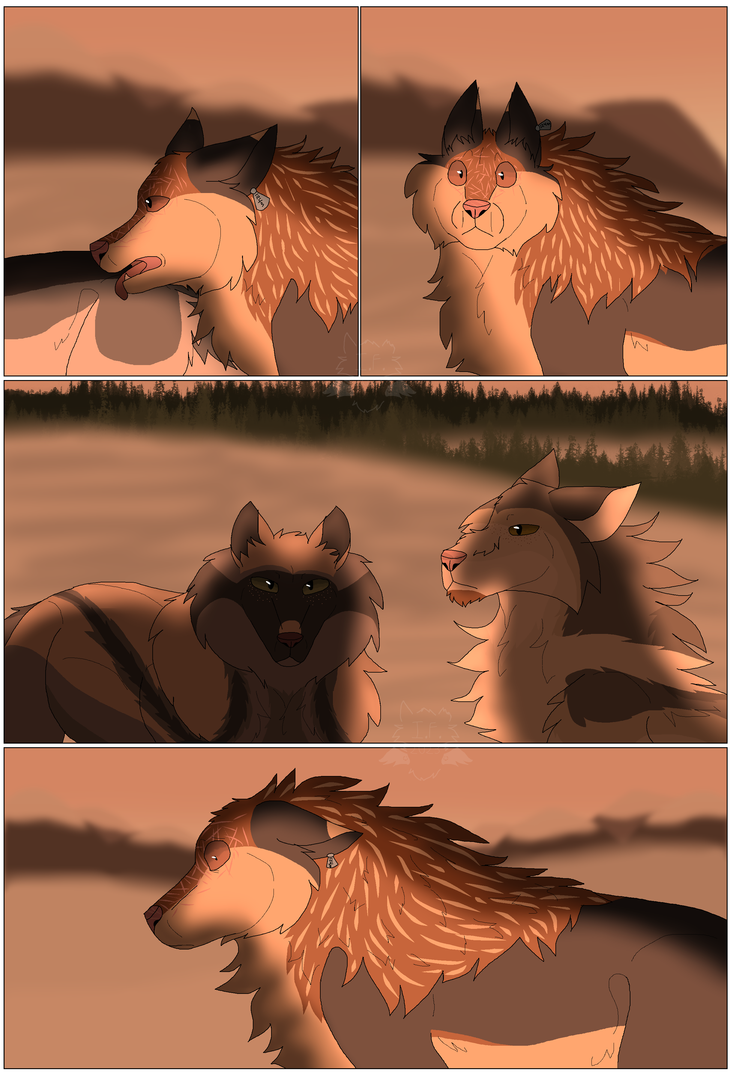 WoLF: Faces Not Remembered