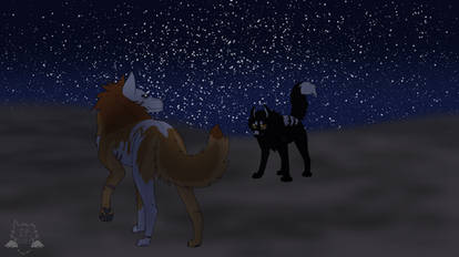 WoLF: Sparring Under the Stars