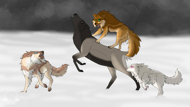 WoLF: Easy Pickings... Maybe