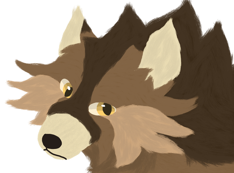 Mercy Fur Test