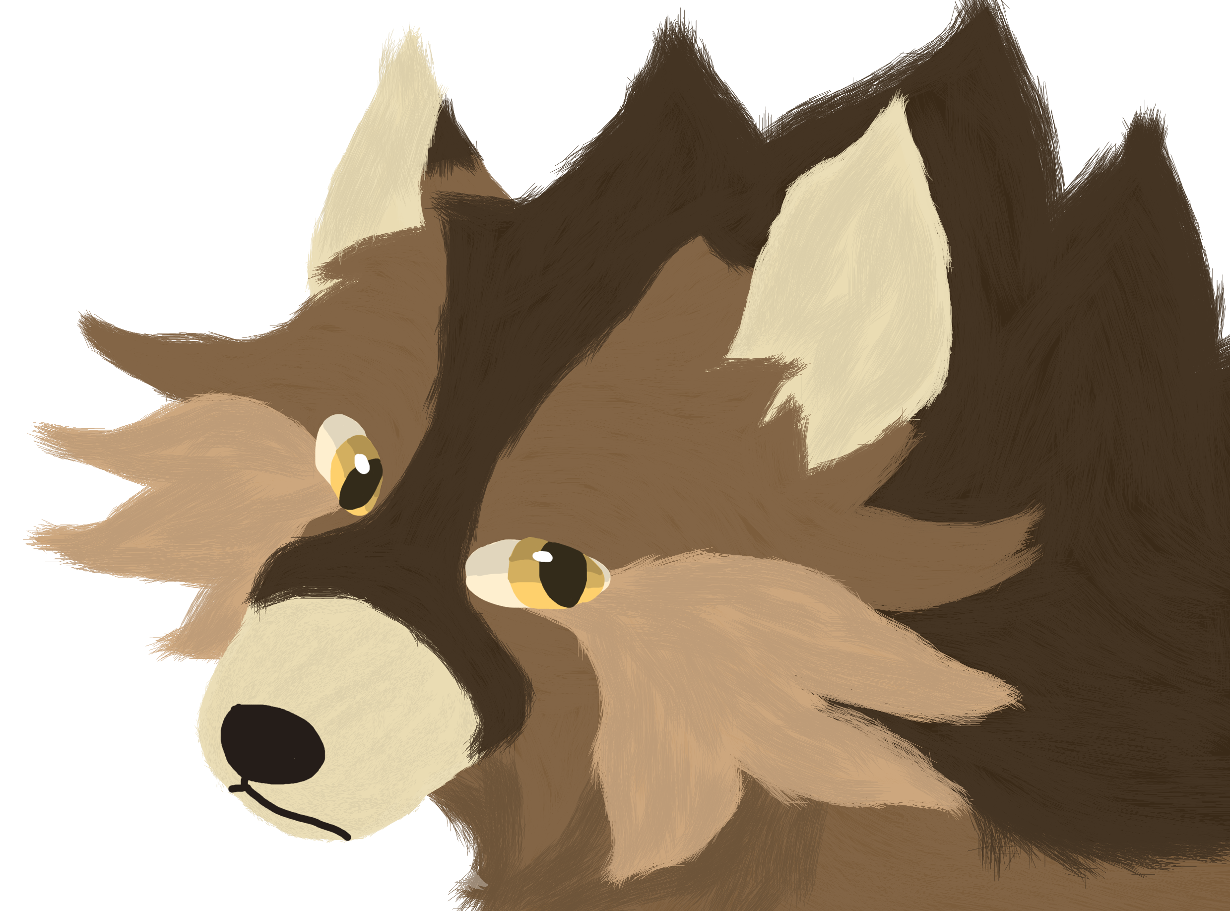 Mercy Fur Test