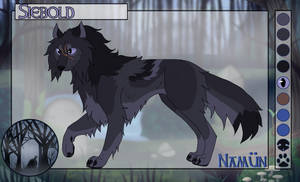 TOW || Siebold || Auslander