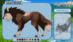 DOTW || Mateusz || Omega