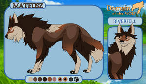 DOTW || Mateusz || Omega