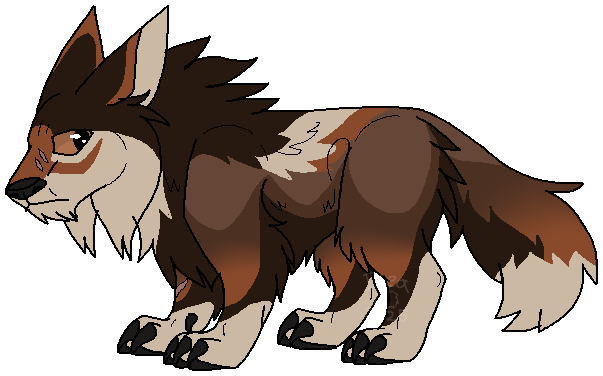 Mateusz Chibi