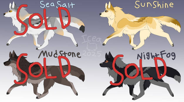 March 2025 Adopts $10 1/4 OPEN