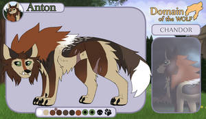 DOTW || Anton || Stray