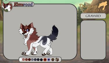 DOTW || Elmwood || Quick