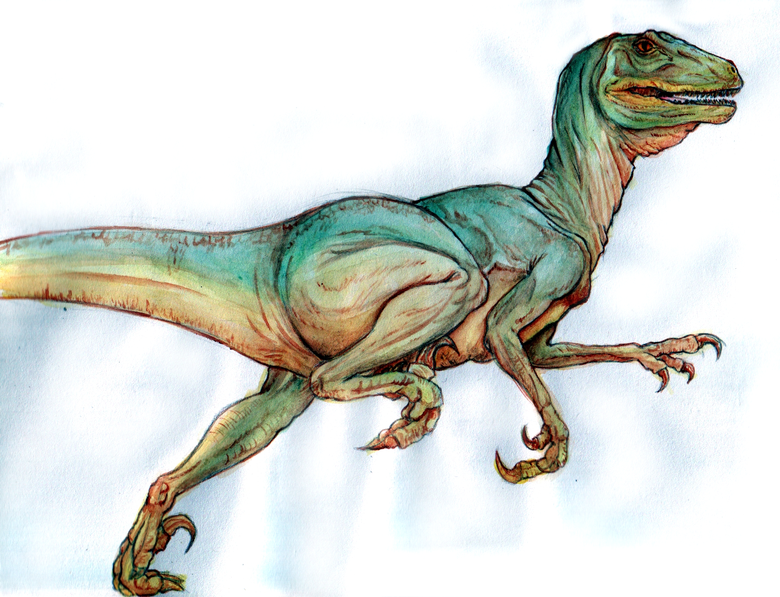 Deinonychus