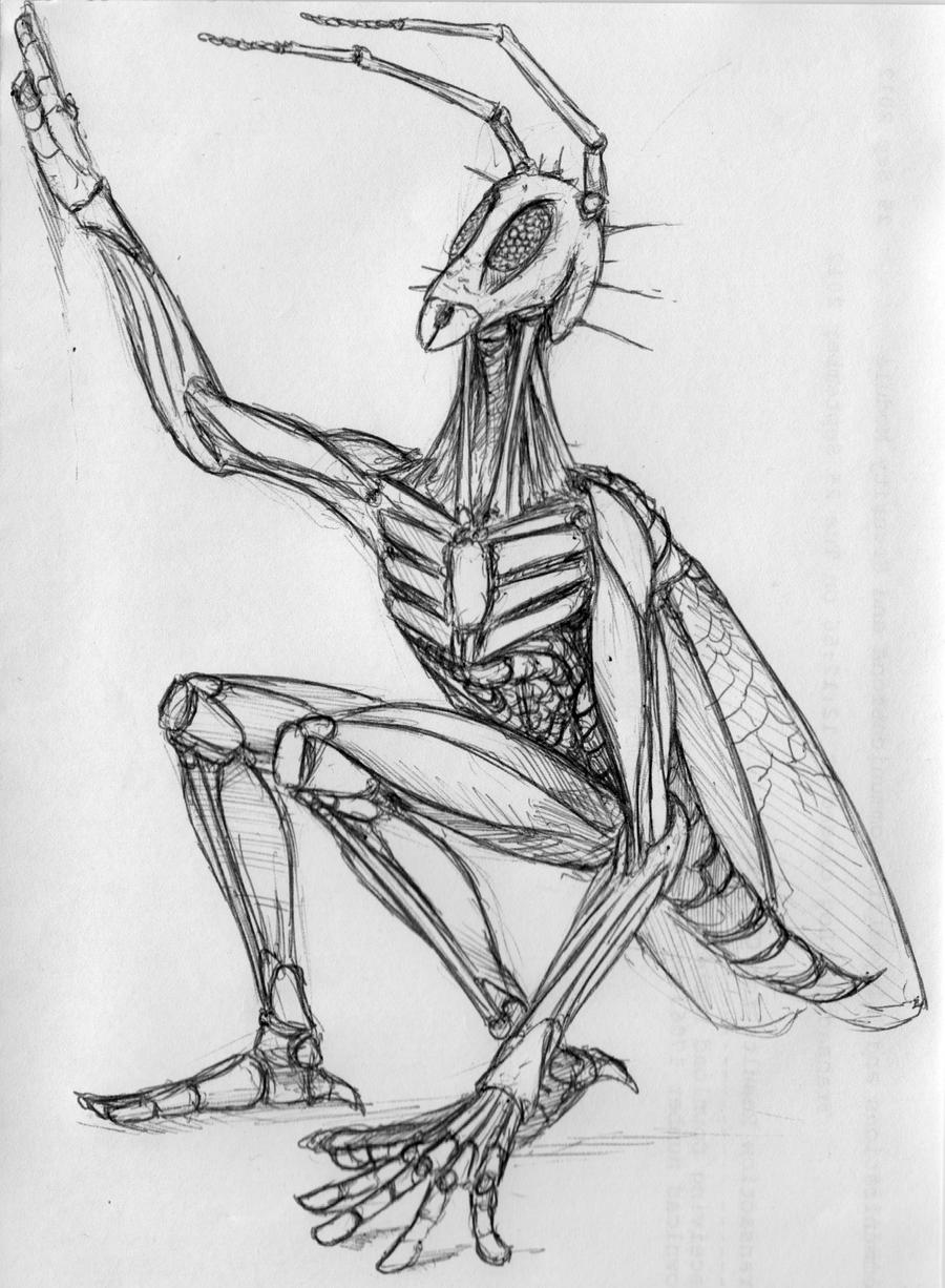 Insectoid Drawing Insectoid by manorak on DeviantArt