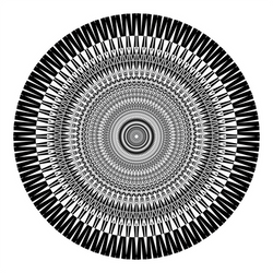 Ws