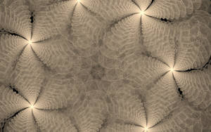 Circular Star Construct