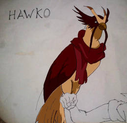 Hawko