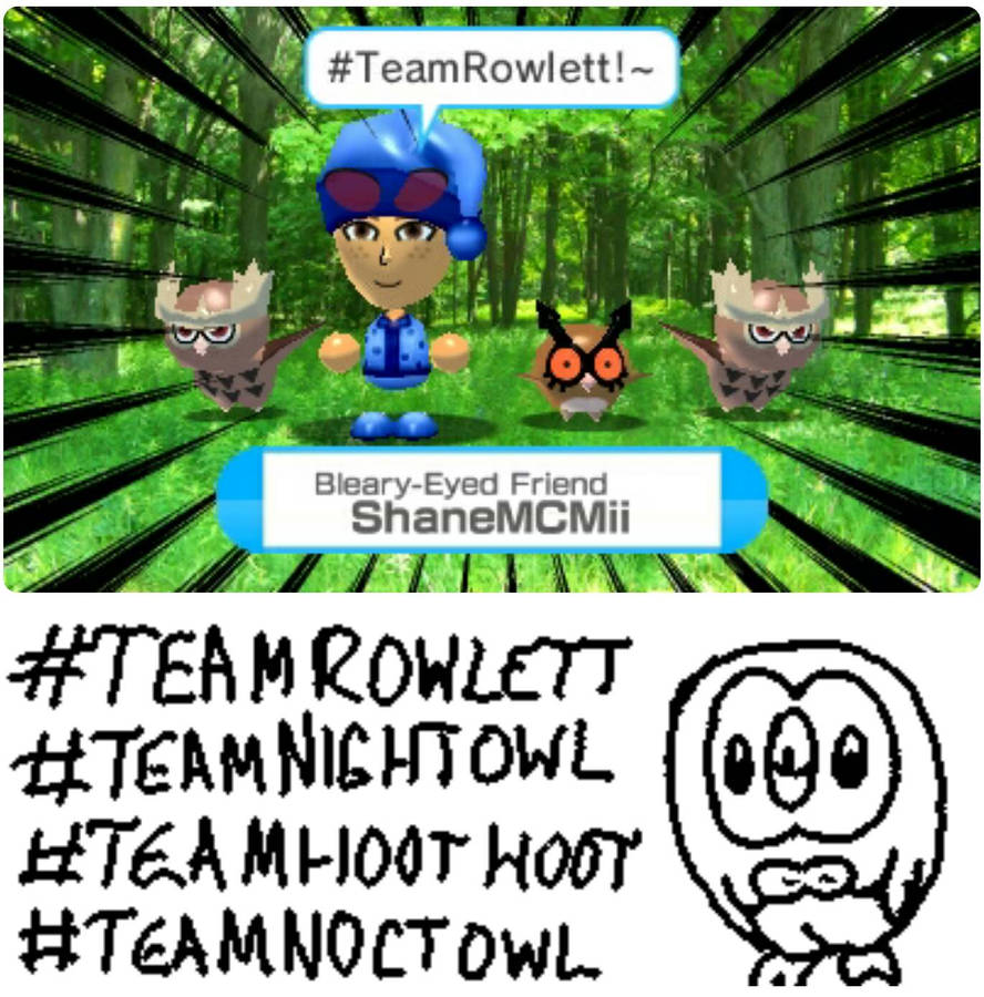 Rowlet Rumble PokMoN Rumble World: Rowlet, HootHoot Noctowl by AnimeBassXMii on ...