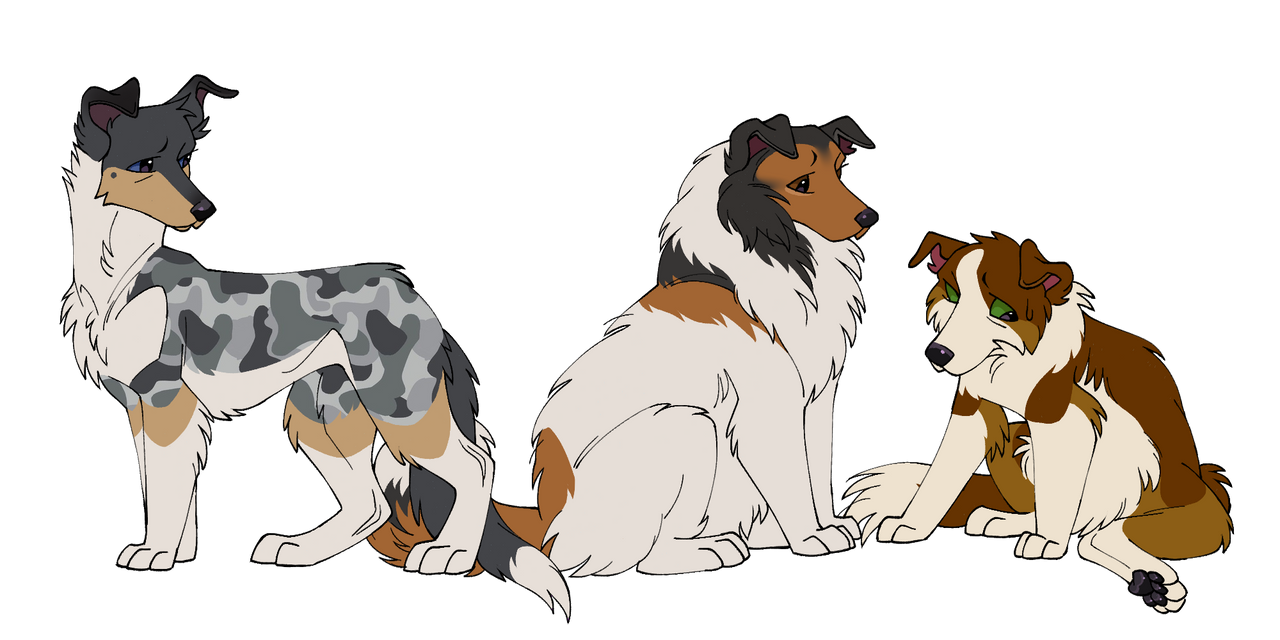 Deviantart Characters Dogs Dog Conpect . 03 by SockzDrawz on DeviantArt