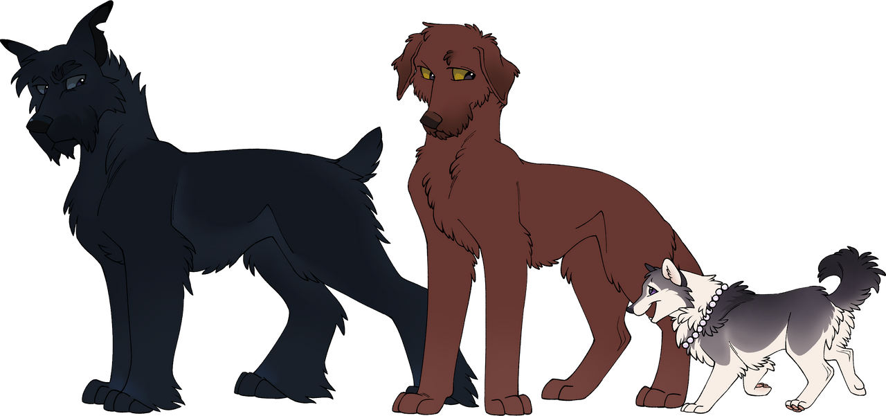 Deviantart Characters Dogs Dog Conpect . 05 by SockzDrawz on DeviantArt