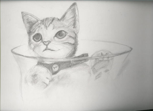 Random KITTY by KorinTo on DeviantArt