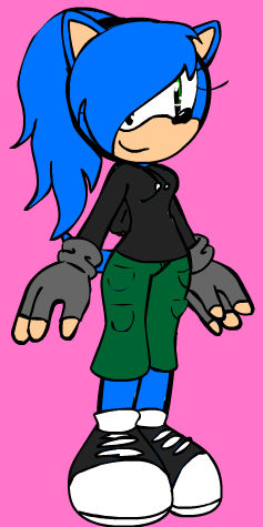 Zera the Hedgehog