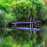 Dock Reflections