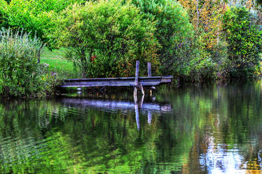 Dock Reflections