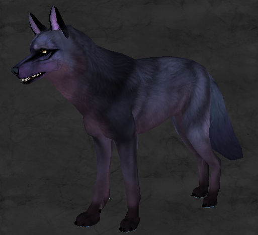 AroKai Wolf Creator- Moki by BongaSpinner on DeviantArt