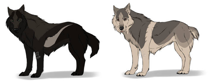 Wolf adopt [Closed]